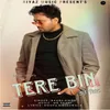 About Tere Bin Song